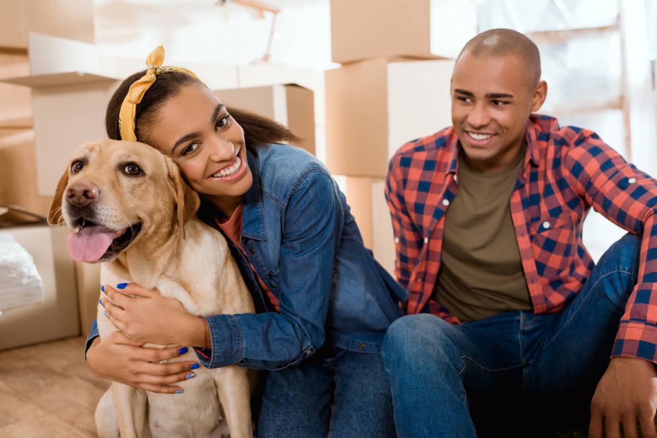 Show some love to your pet by following our moving tips when making a spring move.