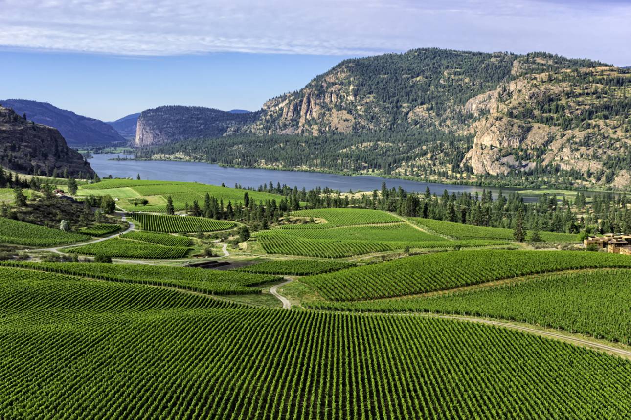 Penticton’s four-star rated scenery makes it one of the top BC moving destinations.