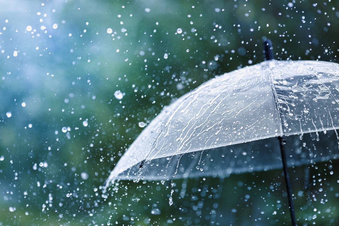Protect your belongings from getting soggy by hiring BigHorn Kelowna for professional moving and packing services. 